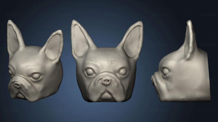 3D model Head (STL)